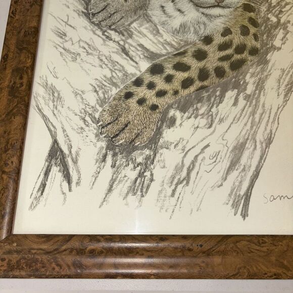 Framed Print Leopard Cub by Samara Seera 18.5 x 22.5” Big Cats African Safari - Picture 3 of 11